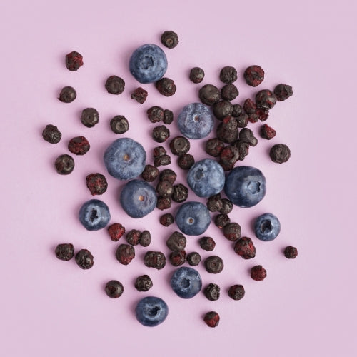 Organic Dried Blueberries
