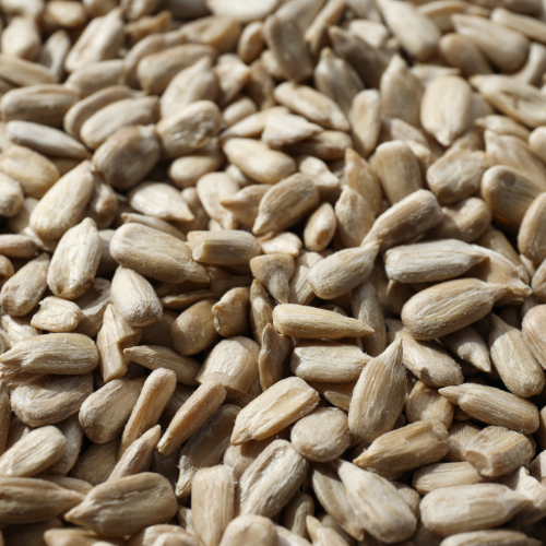 Organic Sunflower Seeds